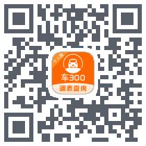 车300的下载二维码