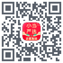 小当严选的下载二维码