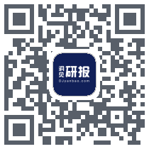 洞见研报 QRcode