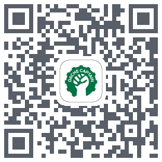 大车队长(测试) QRcode