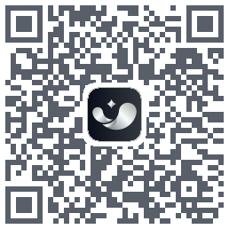 银闪闪 QRcode