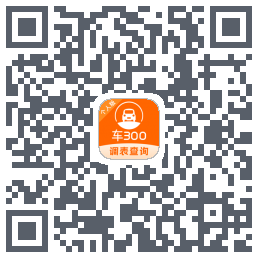 车300codice QR per il download