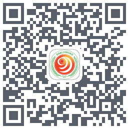 大爱金孝du code QR de téléchargement