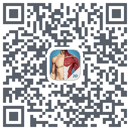 3D透视Download QR-Code
