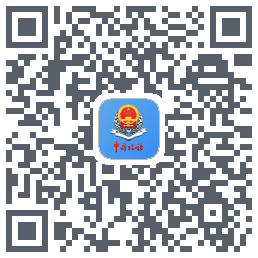 新疆税务 QRcode