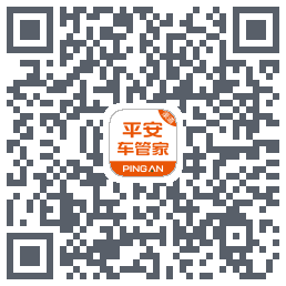 平安车管家Download QR-Code