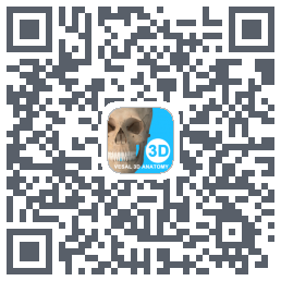 维萨里3D解剖教学รหัส QR สำหรับดาวน์โหลด