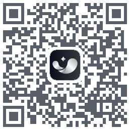 银闪闪codice QR per il download