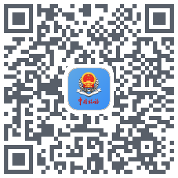 新疆税务的下載二維碼