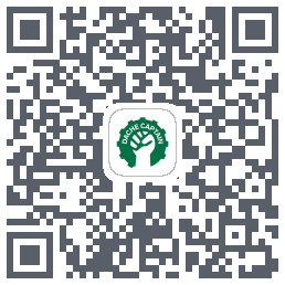 大车队长(测试) QRcode