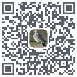 斑鸠识别Download QR-Code