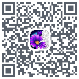 Calm Color QRcode