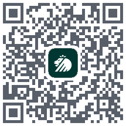 德施曼智能 QRcode