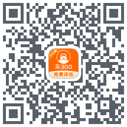 车300codice QR per il download
