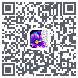 Calm Color QRcode
