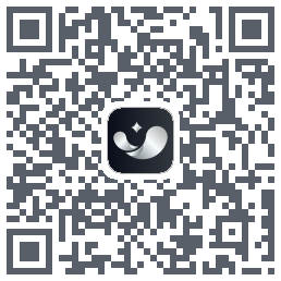银闪闪 QRcode