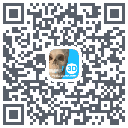 维萨里3D解剖教学的下载二维码
