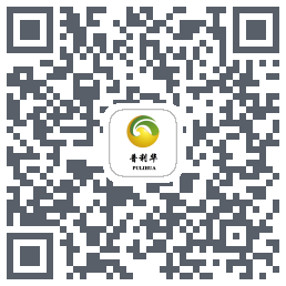 普利华 QRcode