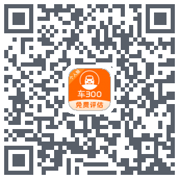车300codice QR per il download