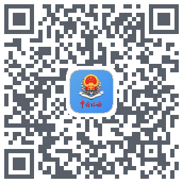 新疆税务 QRcode