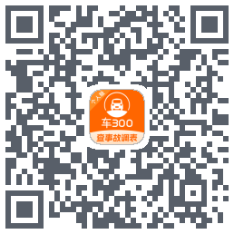 车300的下载二维码