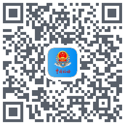 新疆税务 QRcode