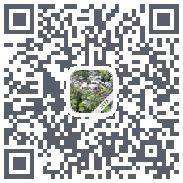 玩安卓 QRcode
