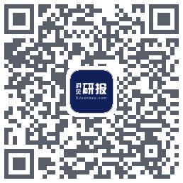 洞见研报 QRcode