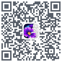Zen Color QRcode