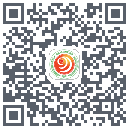 大爱金孝的下载二维码