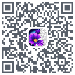 Calm Color QRcode
