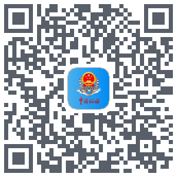新疆税务 QRcode
