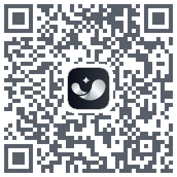 银闪闪 QRcode
