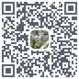 玩安卓 QRcode