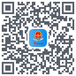 新疆税务codice QR per il download