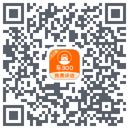 车300codice QR per il download