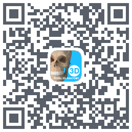维萨里3D解剖教学的下載二維碼