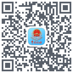 新疆税务 QRcode