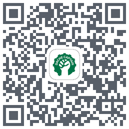 大车队长(测试) QRcode