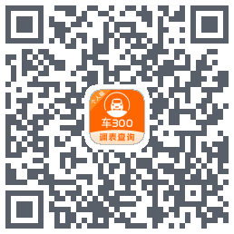 车300codice QR per il download