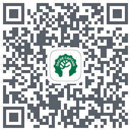 大车队长(测试) QRcode