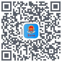 上海税务código QR de descarga de