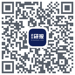 洞见研报 QRcode