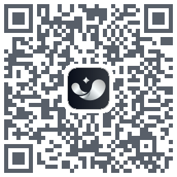 银闪闪 QRcode
