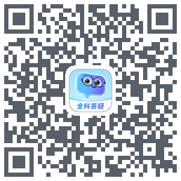 有道小P QRcode