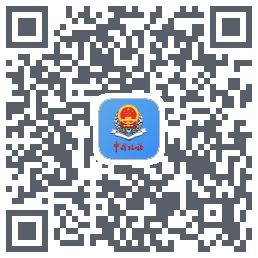 新疆税务 QRcode