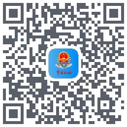 新疆税务 QRcode