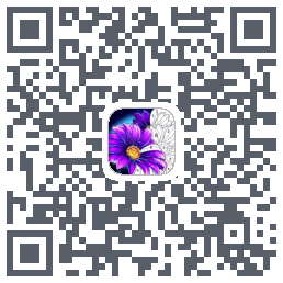 Calm Color QRcode