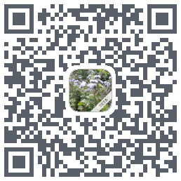 玩安卓รหัส QR สำหรับดาวน์โหลด