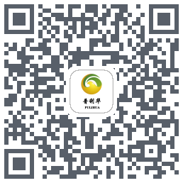 普利华 QRcode